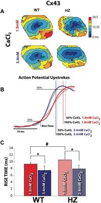 Ephaptic Coupling Is a Mechanism of Conduction Reserve During Reduced Gap Junction Coupling